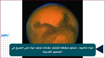 حياة ماضية.. صخور مرقطة تكشف علامات وجود حياة على المريخ في العصور القديمة